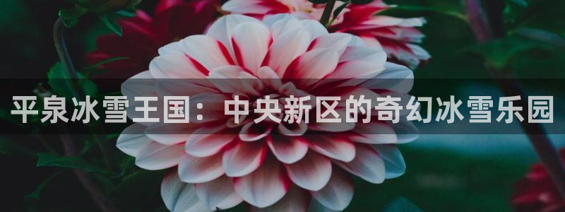 b体育必一运动官网