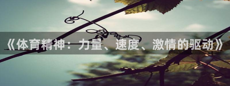 必一运动