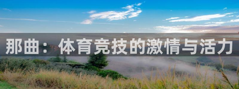 b体育必一运动官网