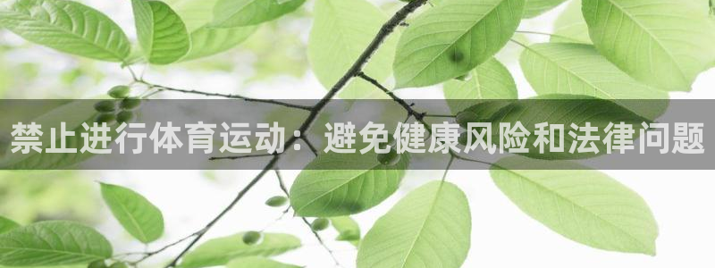 必一运动体育