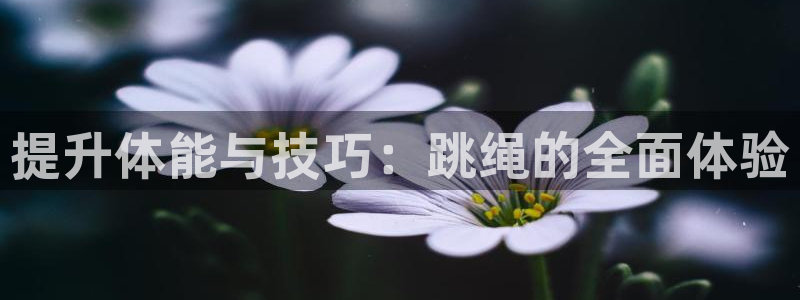 必一运动体育