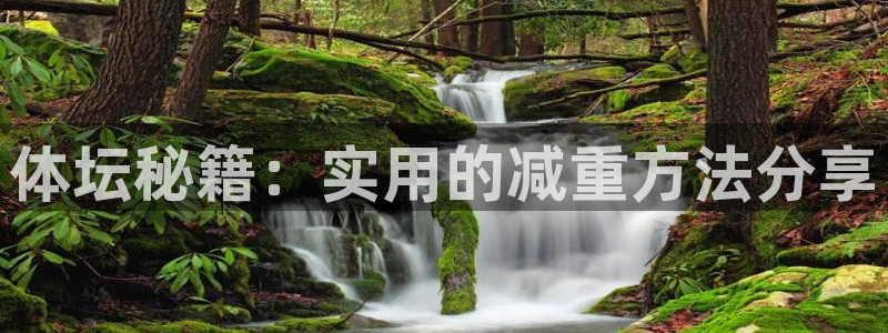bsport必一运动