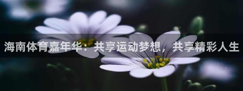 b体育必一运动官网
