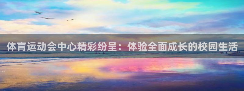 bsport必一运动