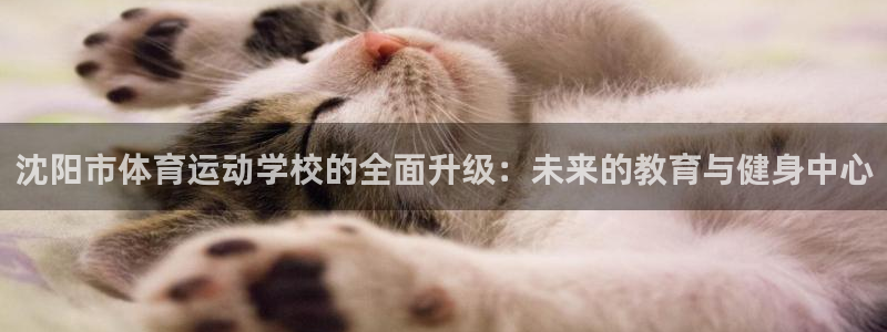 必一运动体育官网入口