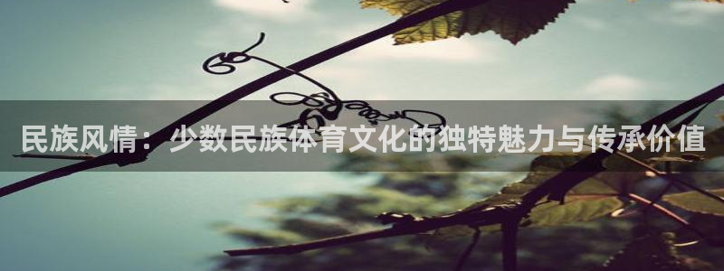 必一运动官网入口
