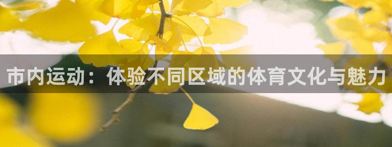 必一运动官网入口