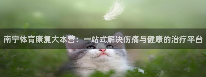 必一运动