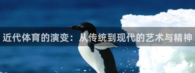 bsports官网 必一运动